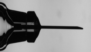 Phoebe camera image