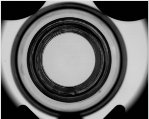 Telesto camera image